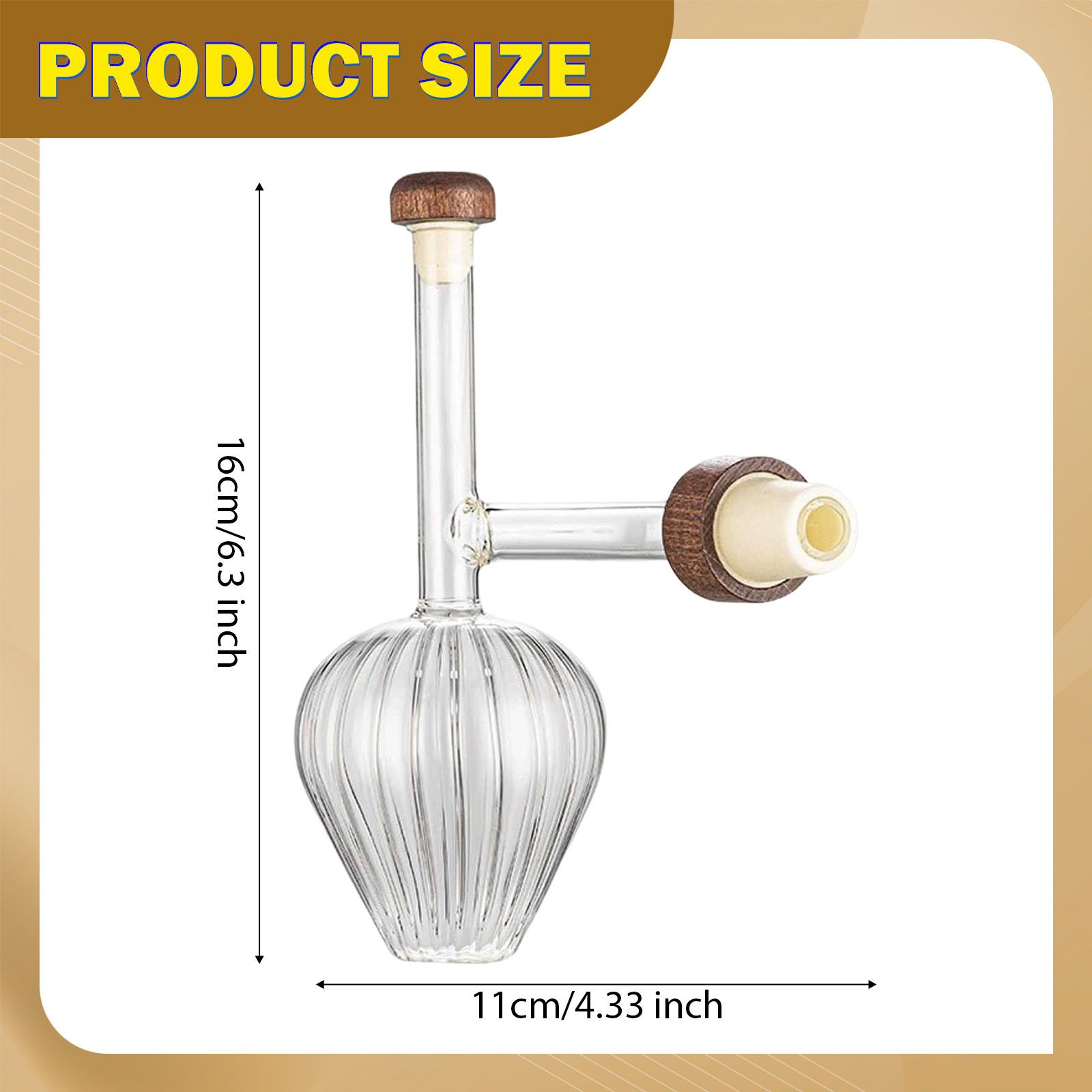 Decanter per Vino a Versamento - Wine Aerator Pour recensione e prezzo