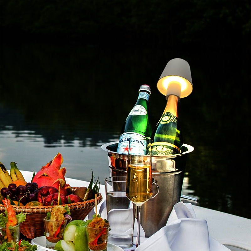 Coperture per Lampade a Bottig - Wine & Beer Hydrometer recensione e prezzo
