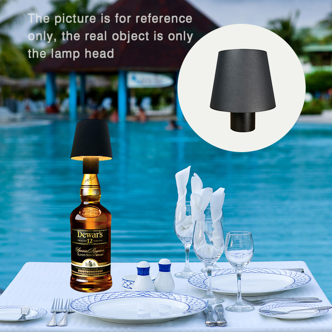 Coperture per Lampade a Bottig - Wine & Beer Hydrometer recensione e prezzo