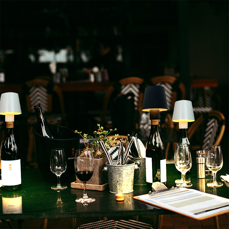 Coperture per Lampade a Bottig - Wine & Beer Hydrometer recensione e prezzo